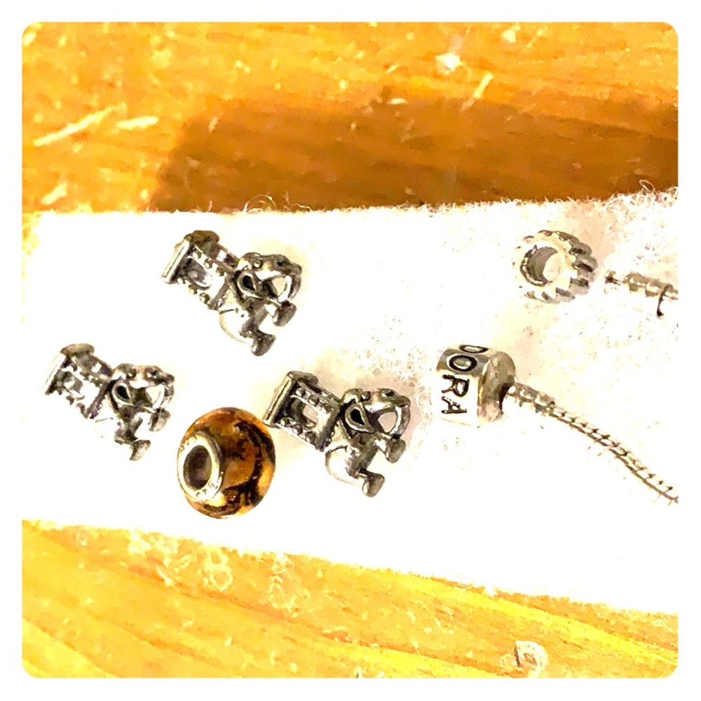 Pandora bracelet with charms